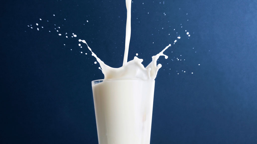 Учёные доказали, что употребление коровьего молока влияет на рост