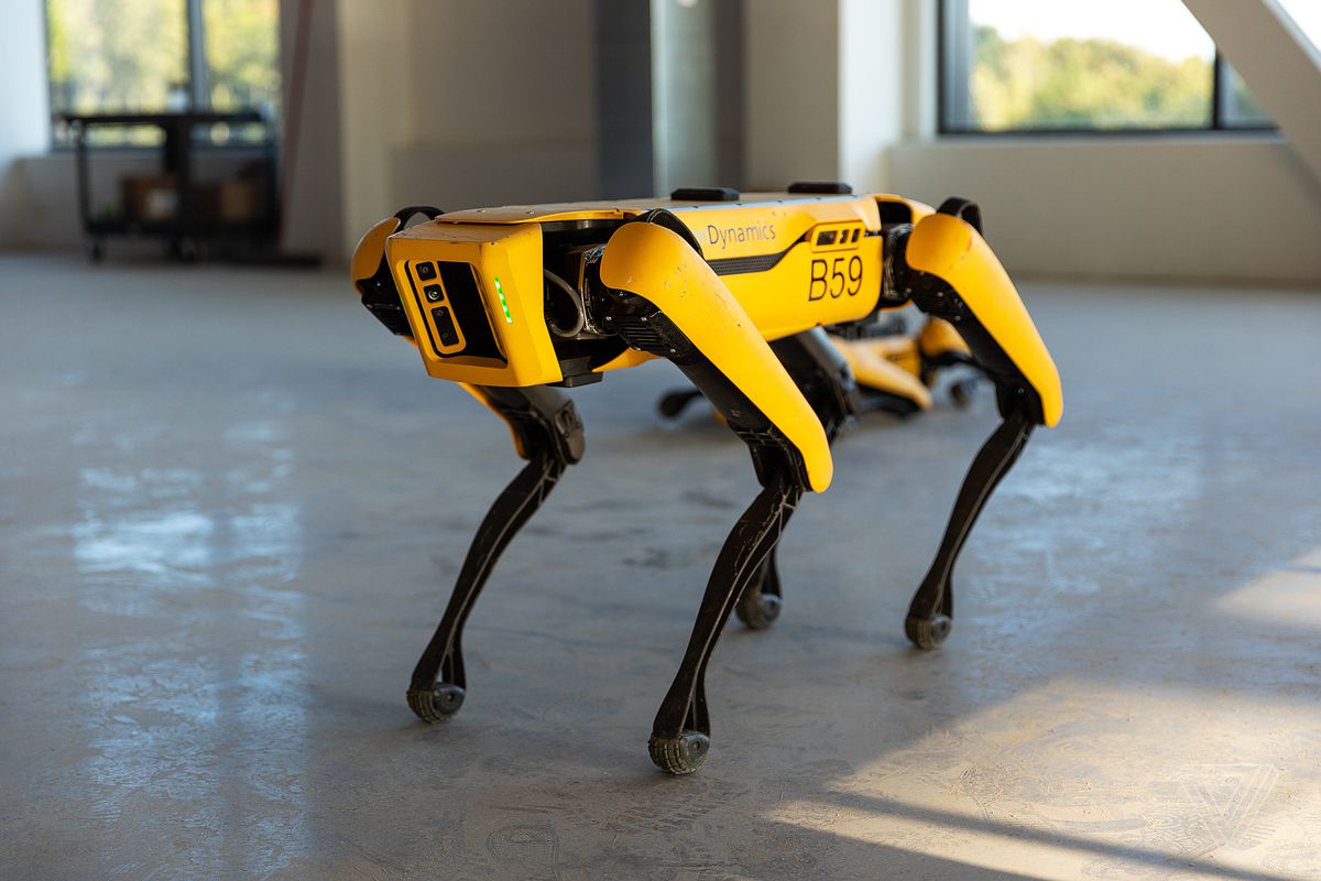 Робособака Spot Boston Dynamics пасёт овец в Новой Зеландии 