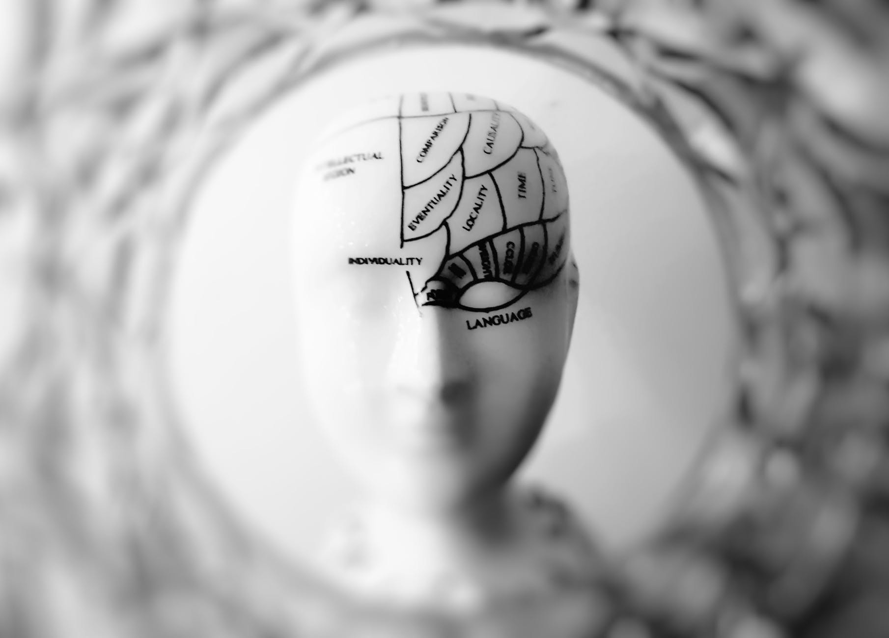 Ученые создали искусственную модель мозга человека 