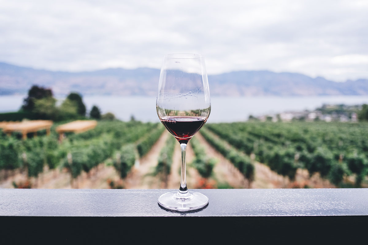Исследование: ежедневное употребление вина может вредить здоровью