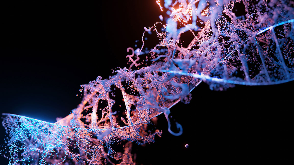 Мутации ДНК могут быть спровоцированы квантовой механикой